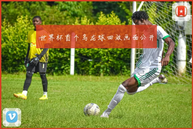 世界杯首个乌龙球回放画面公开